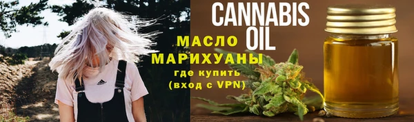 тгк Абаза