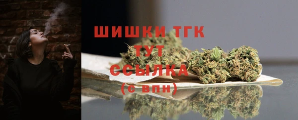 тгк Абаза
