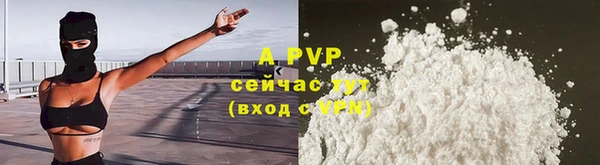 тгк Абаза
