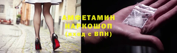 стаф Алзамай