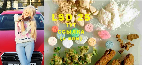 стаф Алзамай
