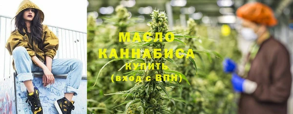 тгк Абаза