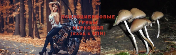 кокаин Алексин